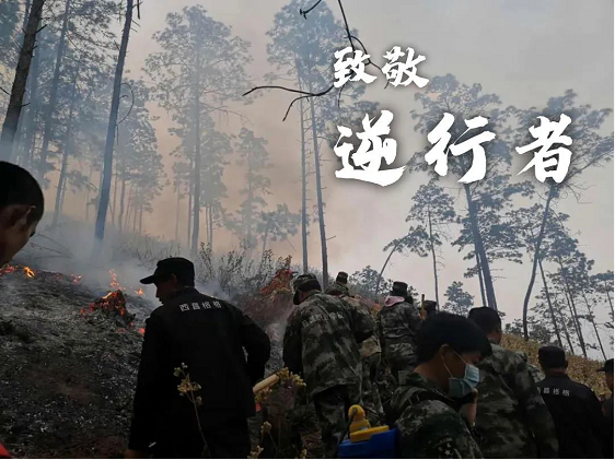 梦之城(中国游) - 官方网站