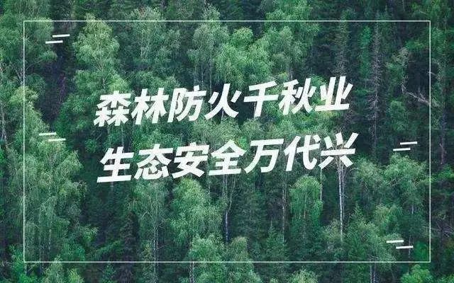 梦之城(中国游) - 官方网站