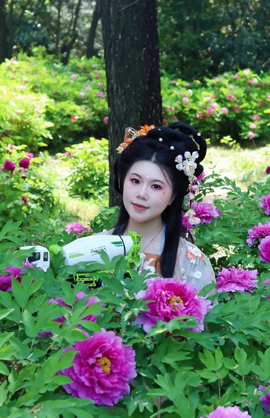 中集梦之城
