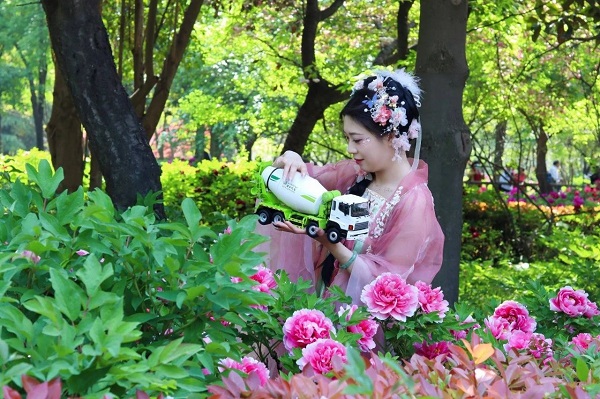 中集梦之城