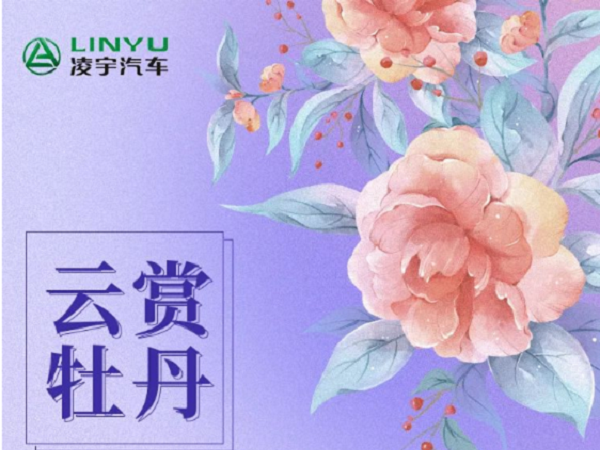 看直播，，，，赢豪礼|牡丹仙子有奖征集，，，，梦之城邀您共赏洛阳春光
